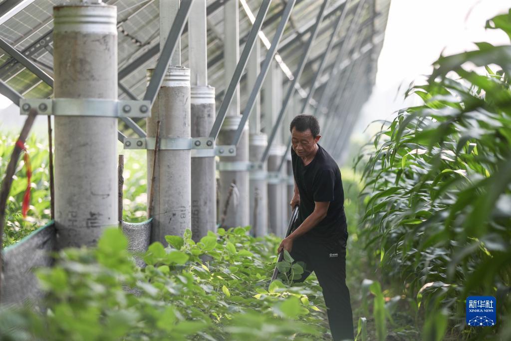 永利电子网站